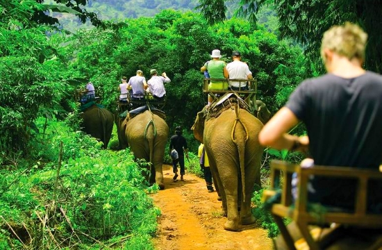 The worldâ€™s most expensive coffee, which is priced at $70 per serving, is made from elephant poo