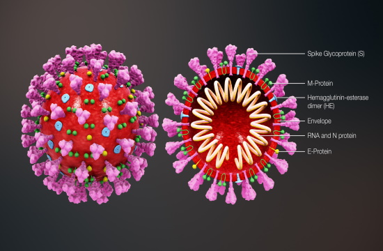 AP report: Now 9 out of 10 new COVID-19 cases attributed to Omicron variant