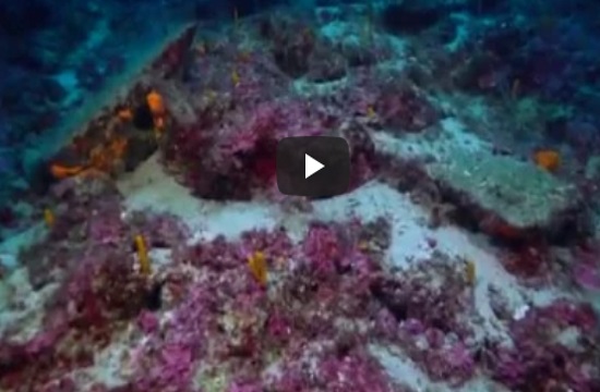 3,600-year-old Bronze Age shipwreck found off Antalya coast (video)