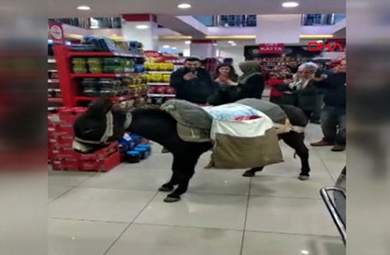 Turks go shopping with donkey to protest plastic-bag charge in market