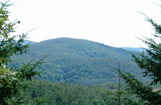 Heatwave "Kleon" peaks across Greece on Friday