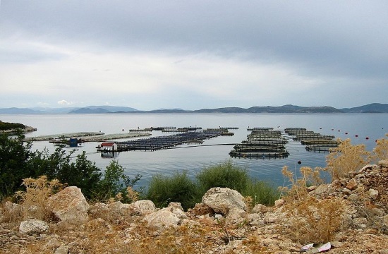 Greek fisheries show growth in exports