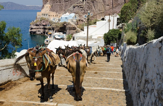 Overweight tourists on Greek island of Santorini face fines for riding donkeys
