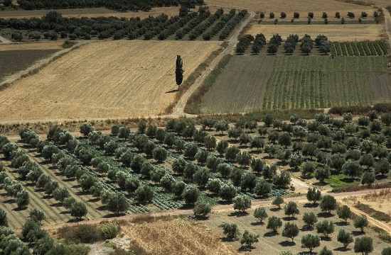 Athens University of Agriculture gives EU Commissioner honorary doctorate
