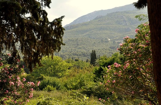 A decade of recovery for Mount Parnitha near Athens