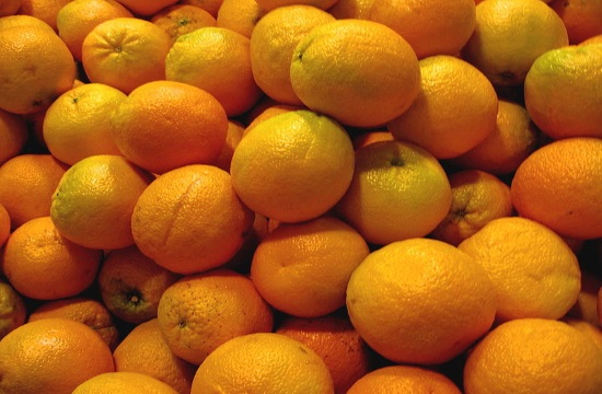 OrangeLand Sparta: Growth through oranges in Laconia region, Peloponnese