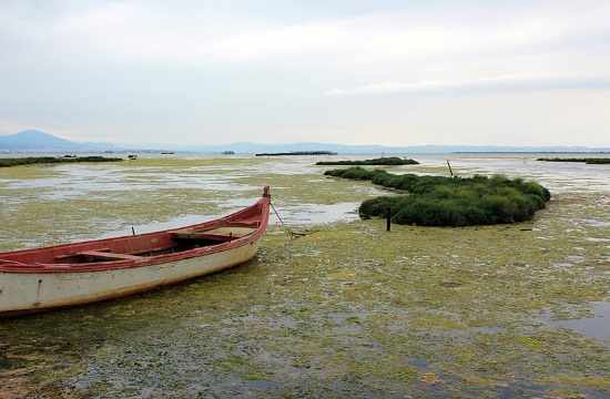 Greece's Kalohori Lagoon at photo exhibition for World Wetlands Day
