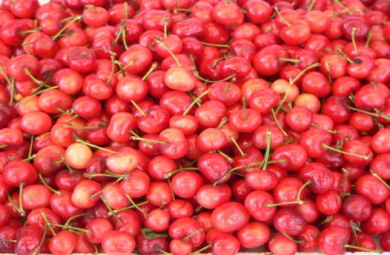 Greek exports of cherries and water melons rise strongly in January-July