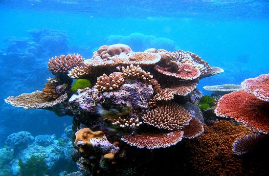 AP report: Australia lowers Great Barrier Reef outlook to “very poor”
