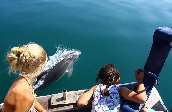 The bottlenose dophins of Amvrakikos wetland in Greece charm visitors
