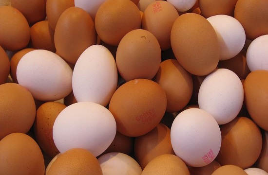 Ministry: Greek market does not sell veterinary products containing fipronil