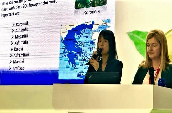 Greek olive oil experts address Chinese summit
