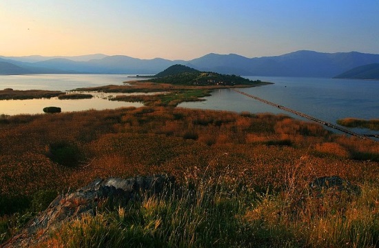 'Red carpet' of Phelypaea flowers blooms around Prespes Lakes in Greece's Macedonia