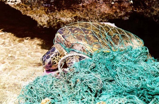 ernstig krab verwijzen Tornos News | Fisherman in Cyprus saves turtle with plastic ring around her  neck (video)