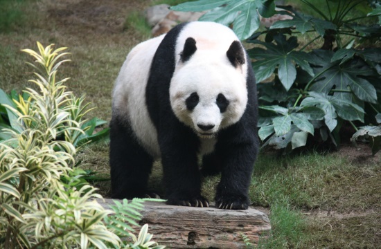 WWF: Industrial activities threaten half natural World Heritage sites