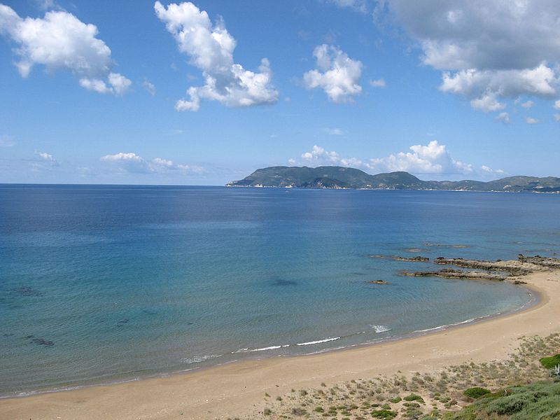 Carreta caretta turtles prefer Zakynthos and Kyparissia for nesting in Greece