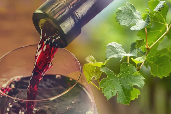 Nea Anchialos: Grapes, music and tradition at the Wine Festival