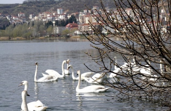 Kastoria: 8th Ecological Agriculture and Handicrafts Festival