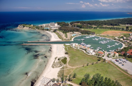 Baby monk seal sunbathes on Halkidiki beach in northern Greece