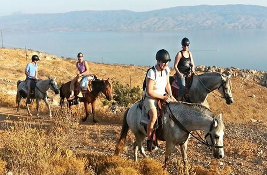 Horseback riding tours on the Greek island of Hydra