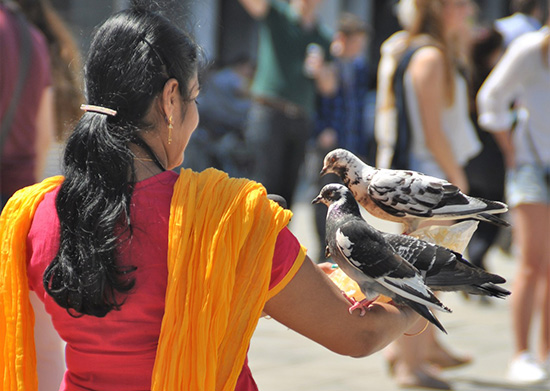 Center for Indian and Indο-Hellenic Studies organizes symposium in Athens