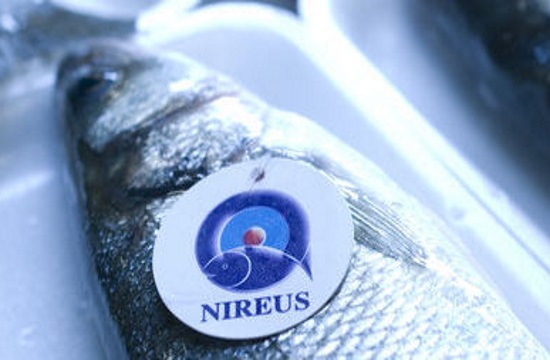 Greek-listed aquaculture company Nireus Group sales up 7.0%