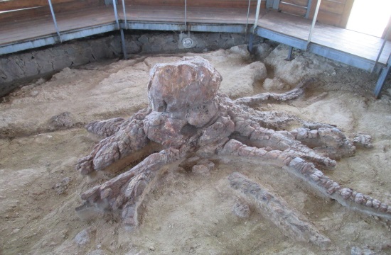 Lesvos Petrified Forest Museum to be presented at ITB Berlin exhibition
