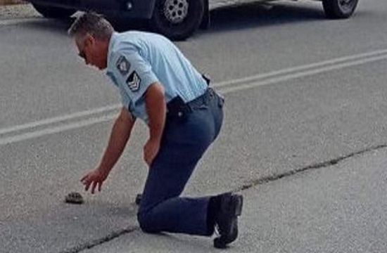 Greek cop saves little tortoise crossing busy street and goes viral
