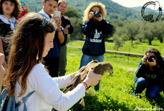 Sitia Geopark: Educational tourism in the nature of the Ziros Plateau
