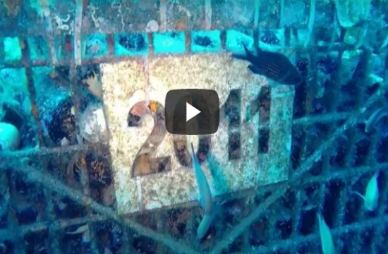 Report: Underwater Greek wine Thalassitis experiment (video)