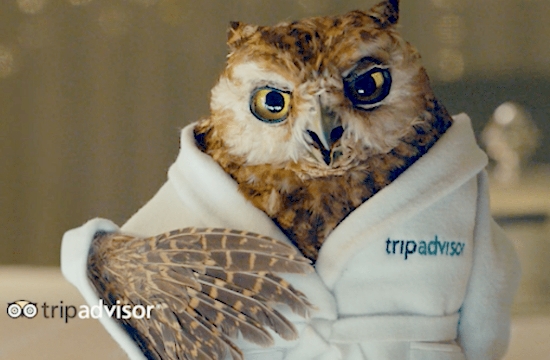 TripAdvisor launches TV campaign after two years (video)