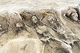 Underground "shell" to showcase ancient mass grave of shackled skeletons