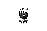 WWF’s ship “Blue Panda” tours Ionian Sea in Greece