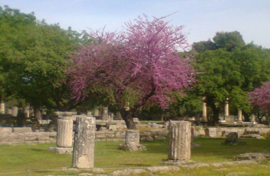 Αρχαία Ολυμπία: Τάξη στην κυκλοφορία και στα κρουαζιερόπλοια