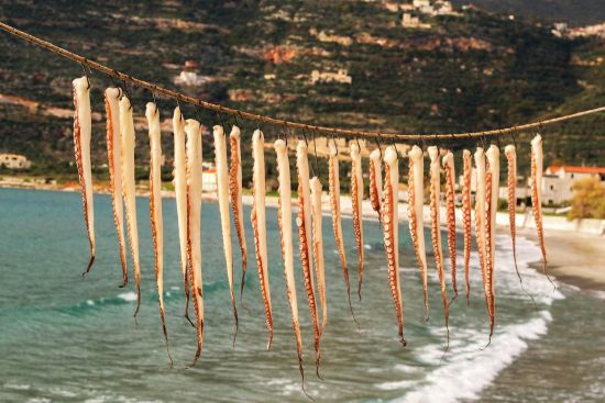 Τα γαστρονομικά φεστιβάλ, αφορμές για ταξίδια