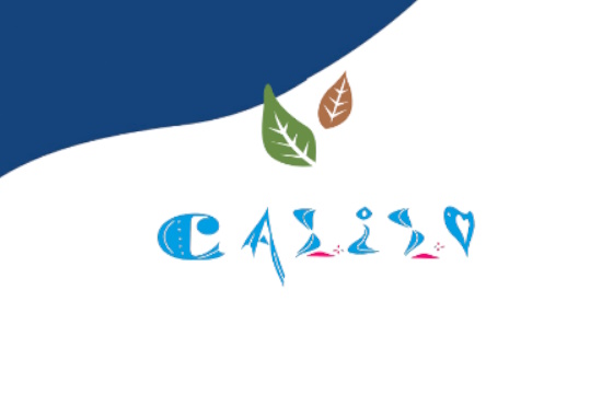 Όμιλος Calilo: Περιβαλλοντικό Σχέδιο Δράσης και σύσταση Περιβαλλοντικού Παρατηρητηρίου στην Ίο