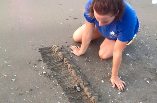ΑΡΧΕΛΩΝ: Σε εξέλιξη η περίοδος εκκολάψεων θαλάσσιας χελώνας στη Ζάκυνθο