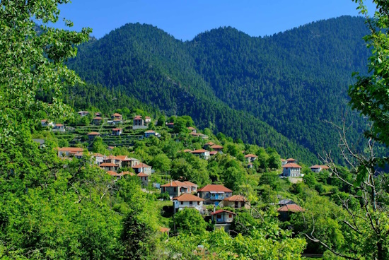 Μείωση μισθώματος για ξενώνα στην Κοινότητα Ελατούς