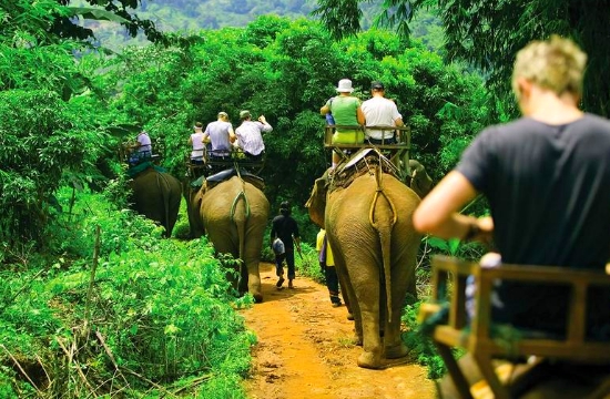 Eλέφαντας ποδοπάτησε τουρίστα στην Ταϊλάνδη...