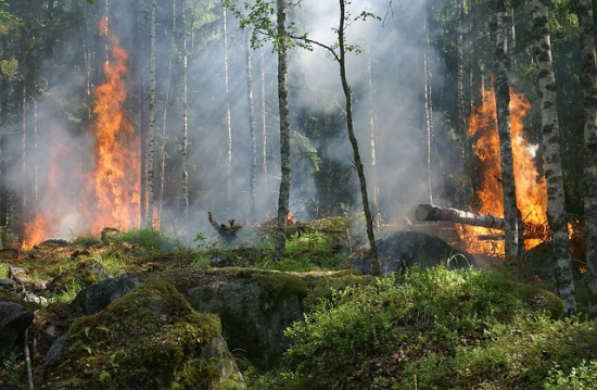 meteo | Οι περιοχές με υψηλή και πολύ υψηλή επικινδυνότητα δασικών πυρκαγιών το τριήμερο 9 - 11 Αυγούστου