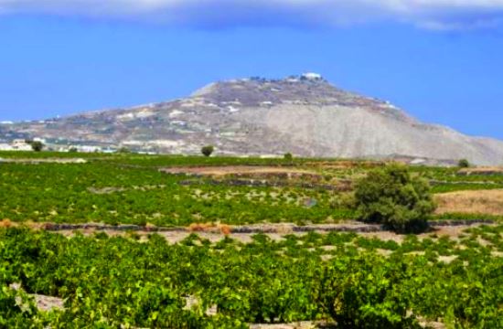 Irish Τimes: Η Ελλάδα ιδανικός προορισμός για τους φίλους του λευκού κρασιού