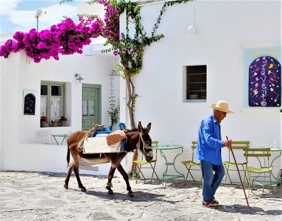 Διεθνές Φεστιβάλ Κινηματογράφου Κιμώλου