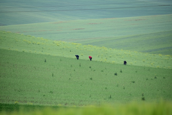 21 Μαΐου: Ευρωπαϊκή Ημέρα Natura 2000 - 446 περιοχές Νatura στην Ελλάδα