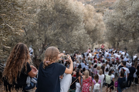 «Μια βραδιά κάτω από την ελιά»: Το φθινοπωρινό Φεστιβάλ της Νάξου επιστρέφει