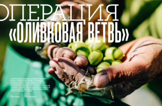 Η ελιά της Χαλκιδικής στο «μενού» 3,5 εκατομμυρίων Ρώσων αναγνωστών