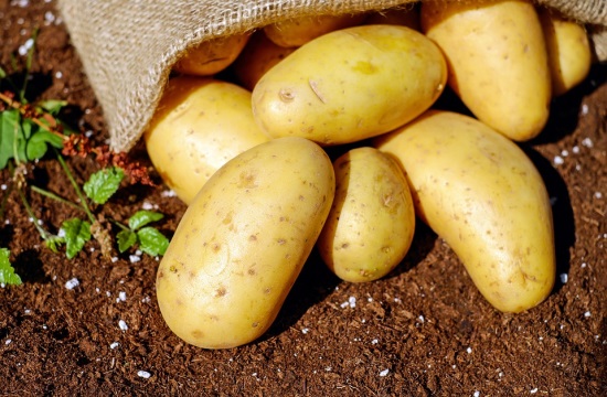 Ξενοδοχείο στην Κρήτη καλλιεργεί πατάτες