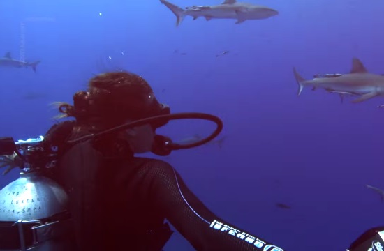 Αυστραλία: To κορίτσι που κολυμπά με τους καρχαρίες
