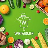 Wikifarmer: Η διεθνής αγροτική πλατφόρμα που ενώνει τον τουρισμό με τοπικούς παραγωγούς