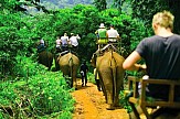 Eλέφαντας ποδοπάτησε τουρίστα στην Ταϊλάνδη...