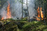 meteo | Οι περιοχές με υψηλή και πολύ υψηλή επικινδυνότητα δασικών πυρκαγιών το τριήμερο 9 - 11 Αυγούστου